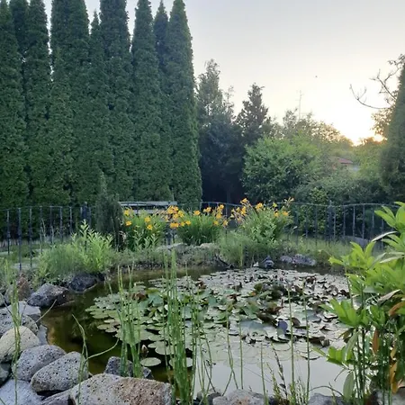 Bed & Breakfast Kulacs Csarda Panzio