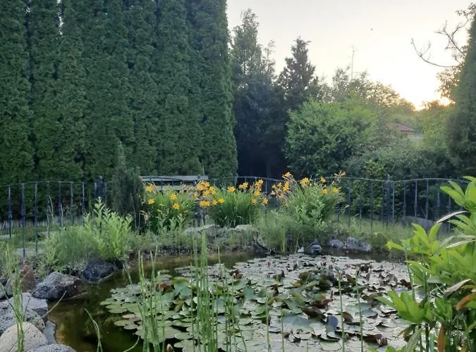 Panzió Kulacs Csarda Panzio